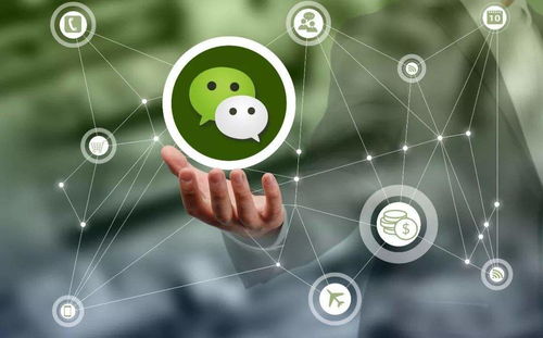 朋友圈營銷策劃推廣實戰(zhàn)指南 微漁商學院助你精準引流