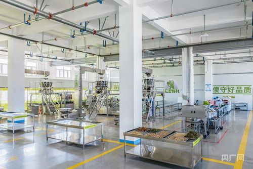 榆中產(chǎn)業(yè)升級(jí)新篇章 以技術(shù)創(chuàng)新為引擎，加速產(chǎn)業(yè)鏈與創(chuàng)新鏈深度融合